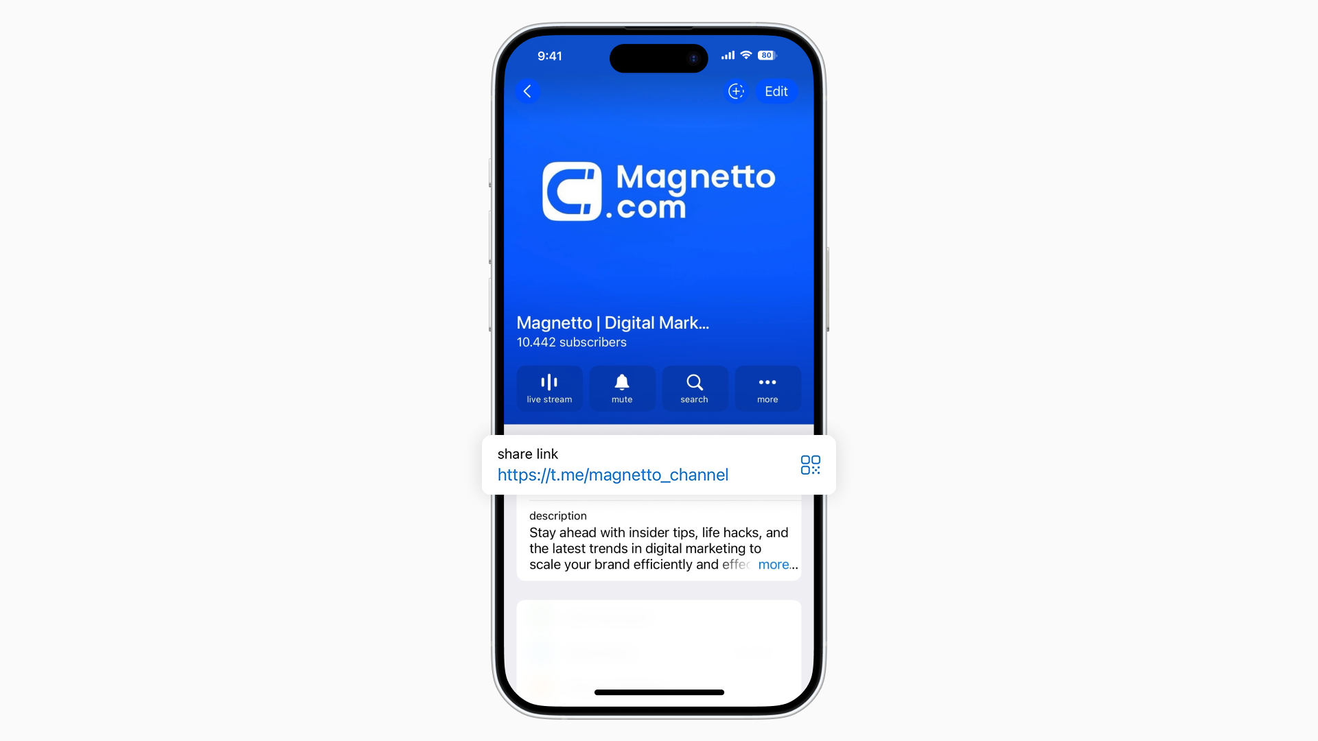 Magnetto Telegram Channel QR code