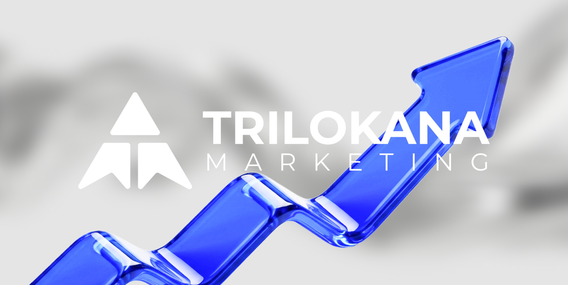 Trilokana Marketing case study